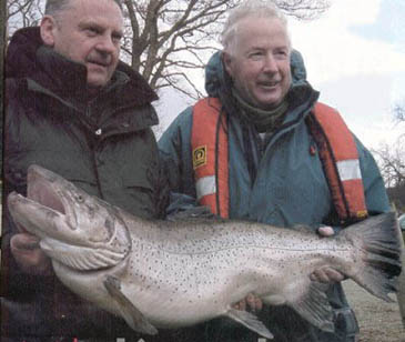 Record photograph for Salmo ferox